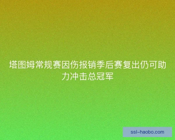 塔图姆常规赛因伤报销季后赛复出仍可助力冲击总冠军 塔图姆常规赛因伤报销季后赛复出仍可助力冲击总冠军