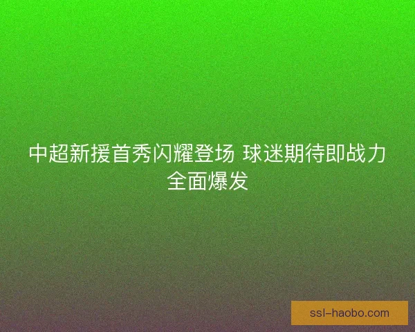 中超新援首秀闪耀登场 球迷期待即战力全面爆发 中超新援首秀闪耀登场 球迷期待即战力全面爆发